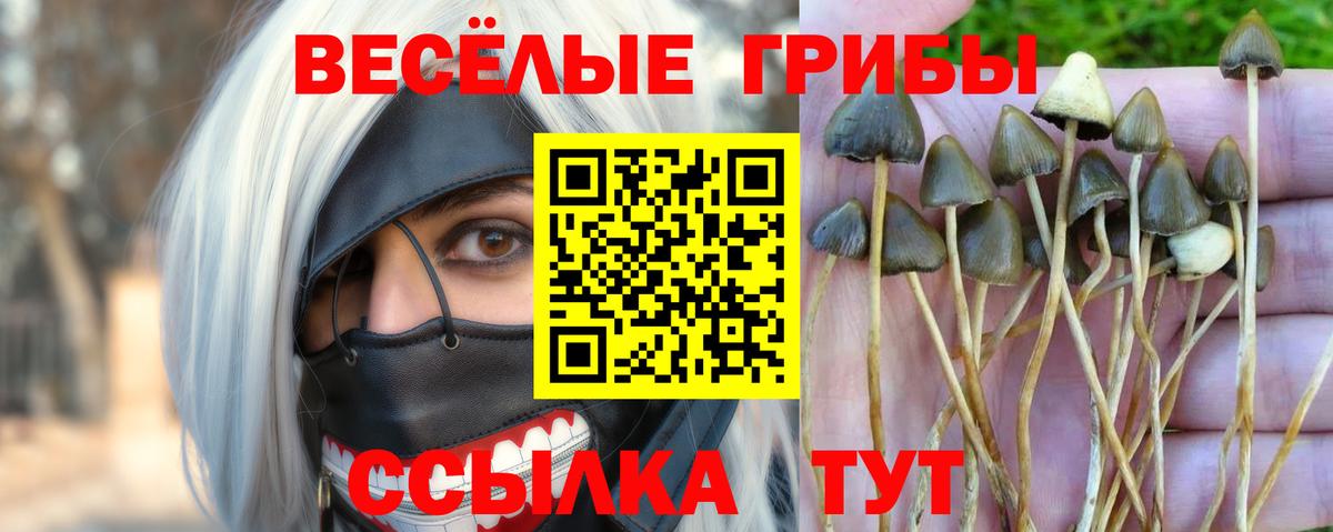 Псилоцибиновые грибы MAGIC MUSHROOMS Менделеевск