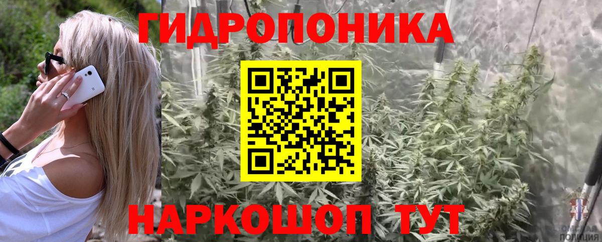 Бошки Шишки индика  Вход с VPN  Бошки марихуана сатива  Менделеевск  Марихуана индика 